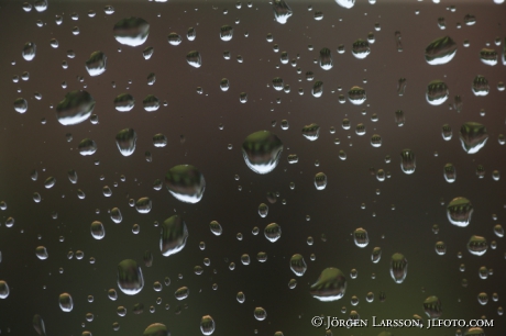 Waterdrops on window