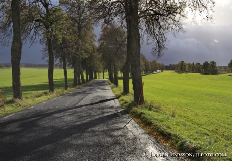 Väg vid Österåker Södermanland Sverige