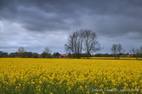 Smedby Öland Sverige