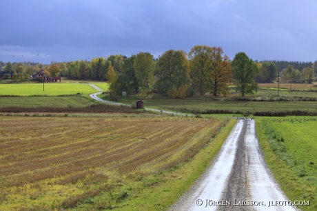 Väg vid Österåker Södermanland Sverige