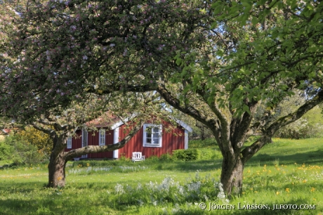 Stuga nära Färjestaden på Öland