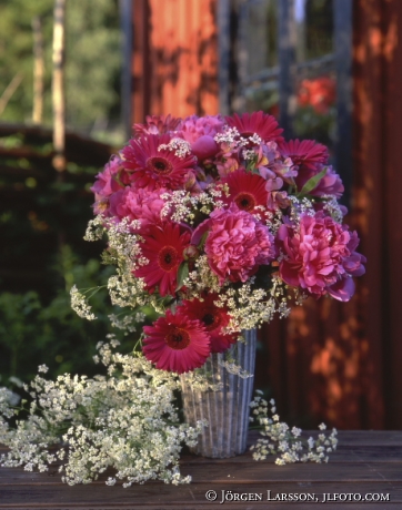 Bukett Gerbera  Pioner