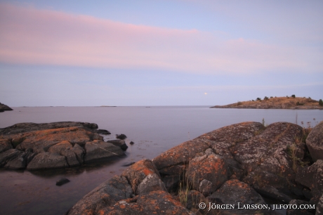 Mussan Tjust smaland Sweden