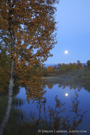 Överuman Lappland Sverige månsken