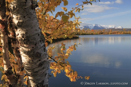 Överuman Lappland Sverige Okstindan i bakgrunden