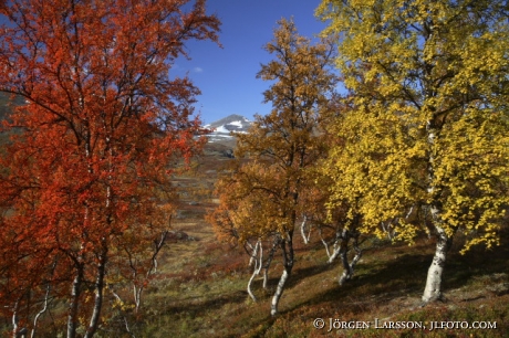 Silvervägen nära gränsen till Norge