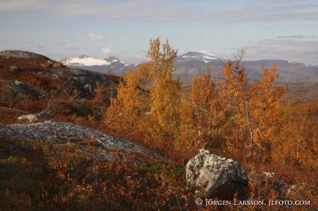 Vassejaure Lappland Sverige