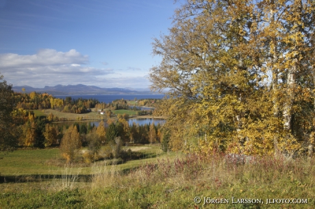 Gårdar i fjällmiljö