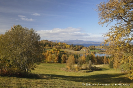 Gårdar i fjällmiljö