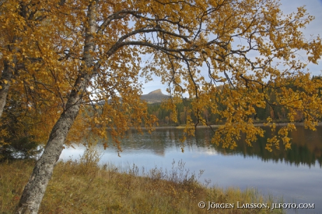 Suljätten