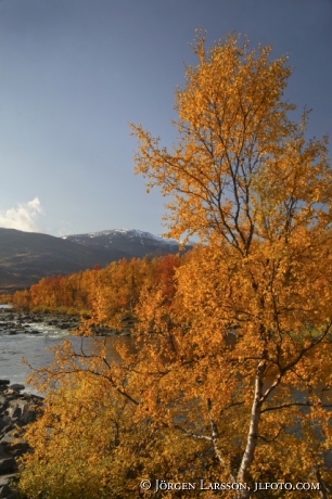 Paktajåkka Lappland Sweden