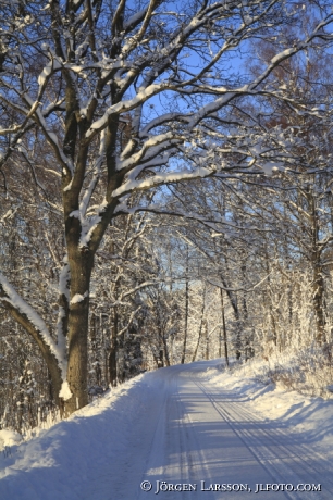 Vinterlandskap Mörkö Södermanland