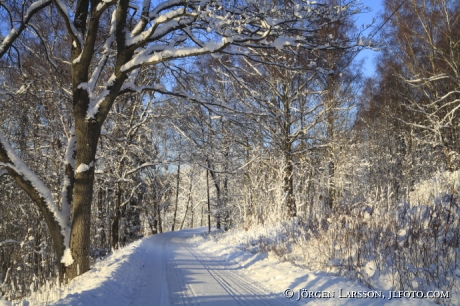 Vinterlandskap Mörkö Södermanland