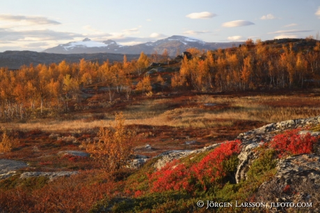 Vassejaure Lappland Sverige