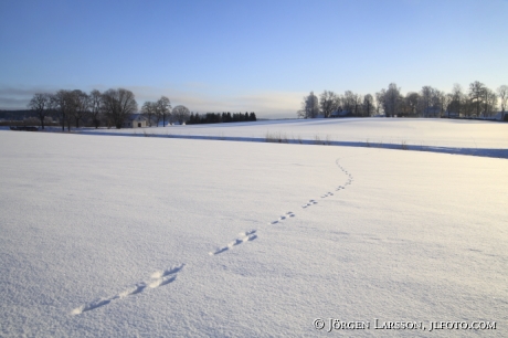 Lästringe Södermanland