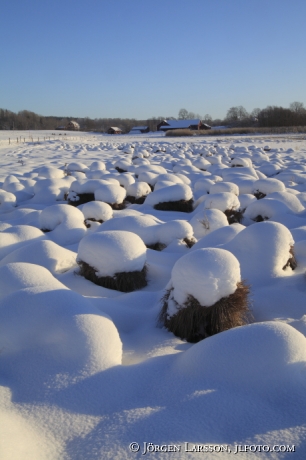 Aspa Södermanland 