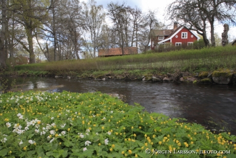 Vira bruk Uppland