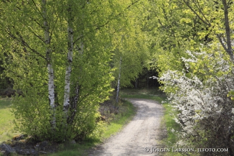 Botkyrka Södermanland Sweden