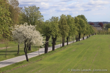 Sturehovs slott Botkyrka Södermanland Sweden