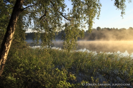 Morgon vid Bornsjön Botlyrka Södermanland 