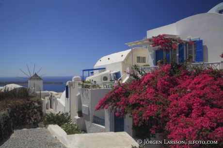 Oía Santorini Grekland