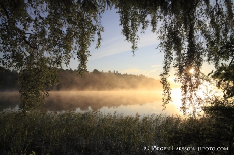 Morgon vid Bornsjön Botlyrka Södermanland 