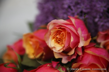 Arrangerade blommor Rosor