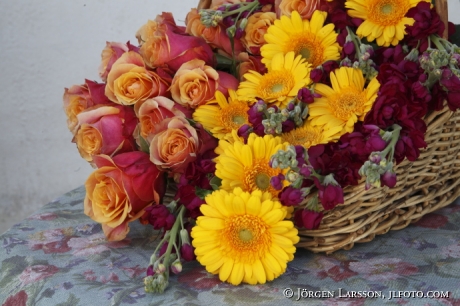 Arrangerade blommor Rosor