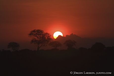 Solnedgång Kenya