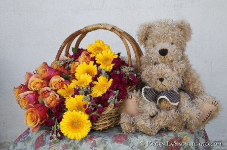 Arrangerade blommor Nalle