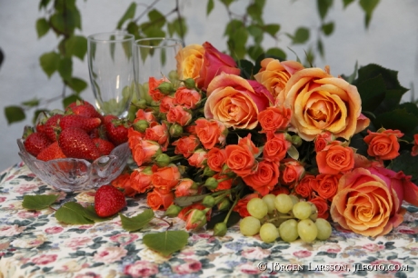 Arrangerade blommor Rosor