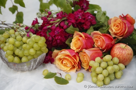 Arrangerade blommor Rosor 