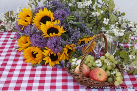 Arrangerade blommor Solrosor