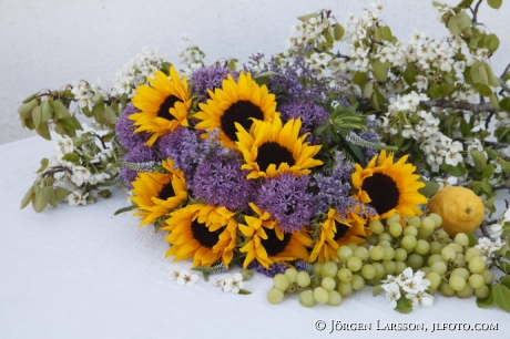 Arrangerade blommor Solrosor