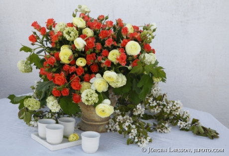 Arrangerade blommor Rosor