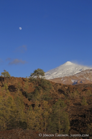 Teide nationalpark 