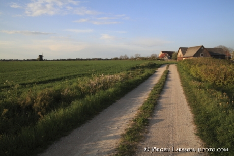  Kalkstenshus  Petes Gotland Sverige