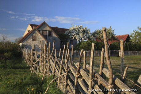  Kalkstenshus  Petes Gotland Sverige