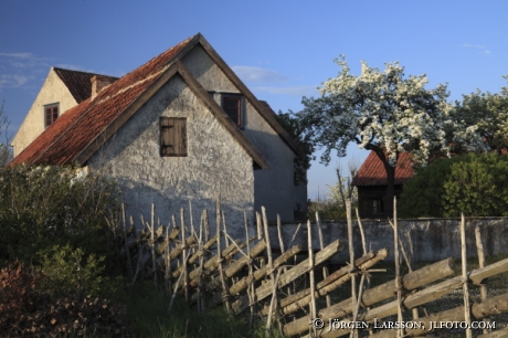  Kalkstenshus  Petes Gotland Sverige