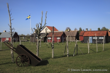 Gnisvärd Gotland Sverige