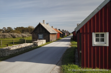 Gnisvärd Gotland Sverige