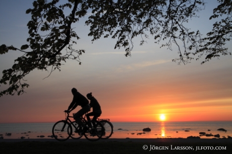 Cyklister i solnedgång Visby Gotland