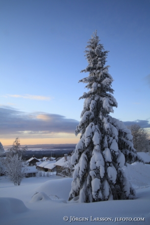 Fryksås fäbodar Dalarna 