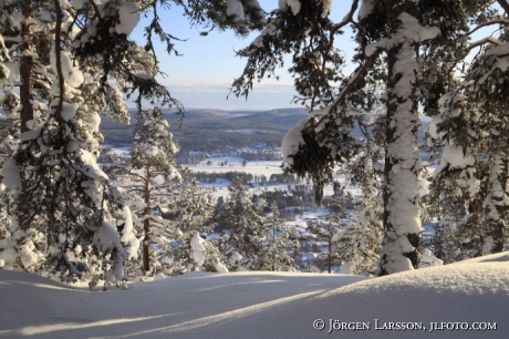 Järvsö Hälsingland