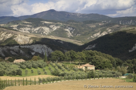 Val d`Orcia Toscana Italien 