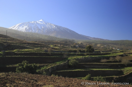 Teide