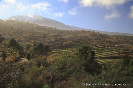 Teide