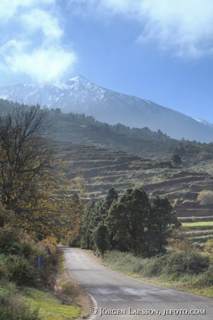 Teide