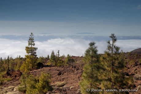 Teide nationalpark