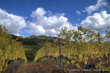 Val d`Orcia Toscana Italien 